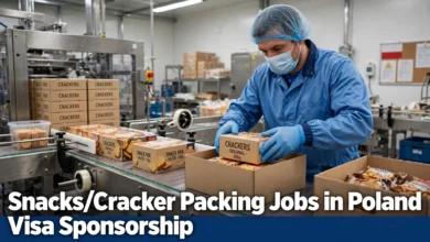 Snacks Cracker Packing Jobs in Poland male packing worker packing cracker boxes on a factory line.